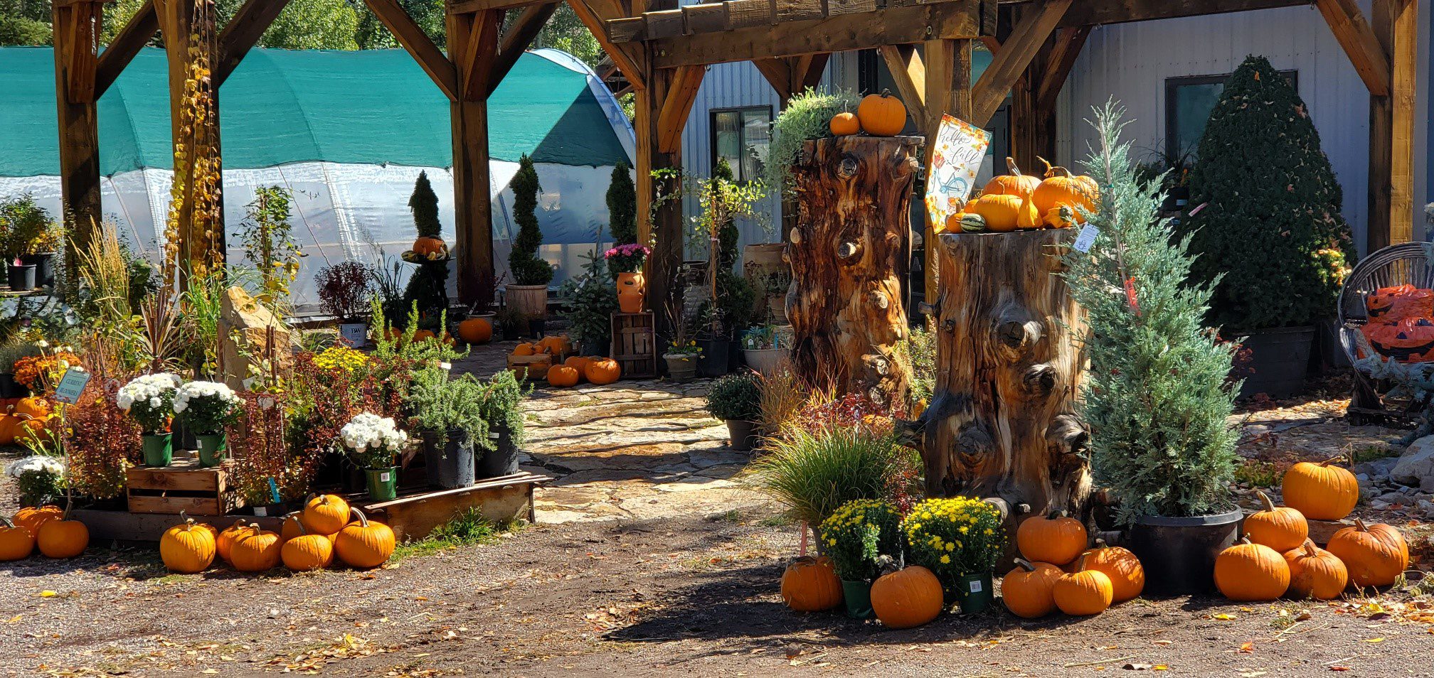 Hello Fall Hello Fall